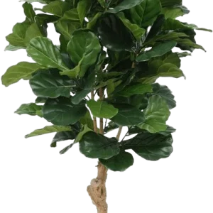 Lyrata deluxe kunstplant 155cm