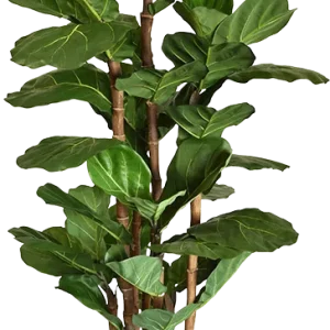 Lyrata deluxe kunstboom 165cm