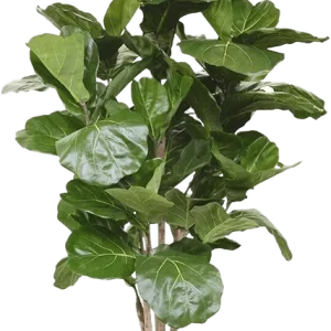 Lyrata deluxe kunstboom 170cm