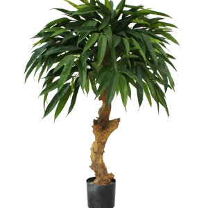 Longifolia Royal kunstboom op stam 90cm