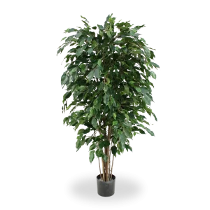 Ficus Exotica deluxe kunstplant 150cm – groen – FR – brandvertragend