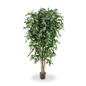 Ficus Exotica deluxe kunstplant 180cm – groen – FR – brandvertragend