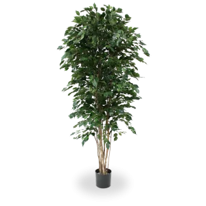 Ficus Exotica deluxe kunstboom 210cm – groen