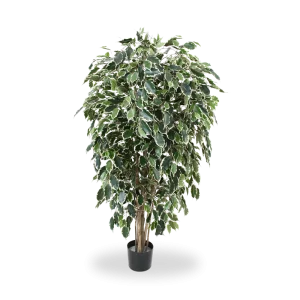 Ficus Exotica deluxe kunstboom 150cm – bont