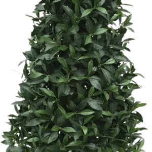 Laurier Pyramide deluxe kunstplant 150cm