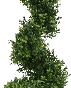 Buxus spiraal deluxe kunstboom 100cm