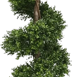 Buxus spiraal deluxe kunstplant 140cm