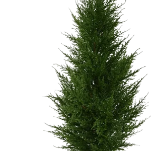 Conifeer kunstplant deluxe 85cm – UV bestendig