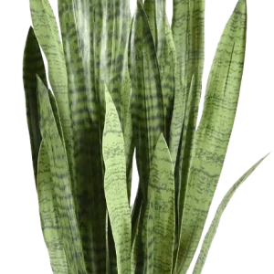 Sanseveria kunstplant 130cm – groen