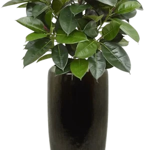Elastica Robusta kunstplant 90cm – groen