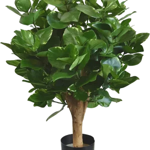 Clusia bol kunstplant 55cm