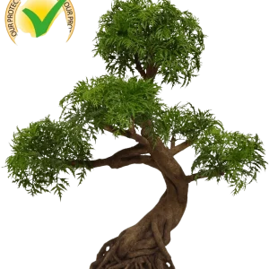 Ming Aralia Bonsai kunstboom op voet 90cm – groen – UV bestendig