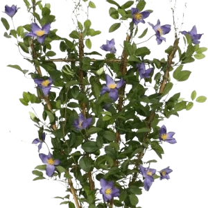 Clematis kunstheg 125cm – paars