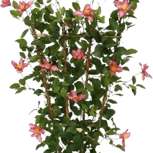 Clematis kunstheg 125cm – rose