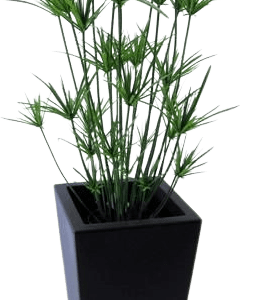 Papyrus XL kunstplant 115cm
