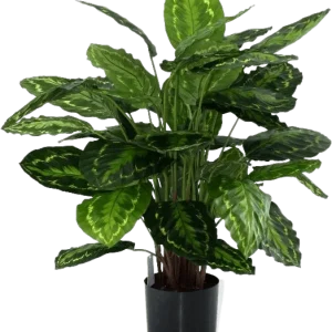 Calathea Rosea Picta kunstplant 80cm