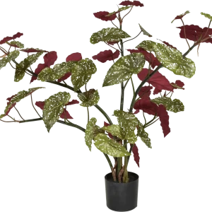 Begonia Maculata kunstplant 110cm