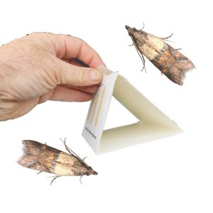 5x Voedselmottenval – met feromoon
