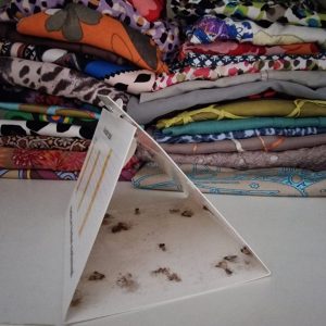 5 stuks – Kleding Mottenval met feromoon – PestiNext