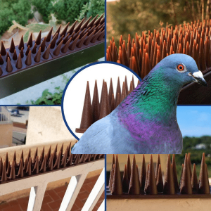 Anti-Duif strips (professionele kwaliteit plastic)