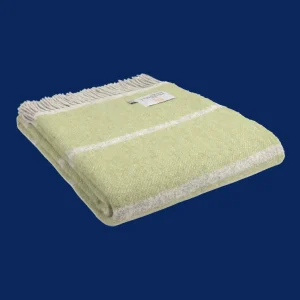 Plaid: Broad Stripe – Fern