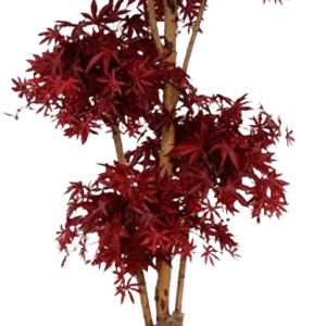 Acer Bonsai deluxe kunstboom 170cm – burgundy