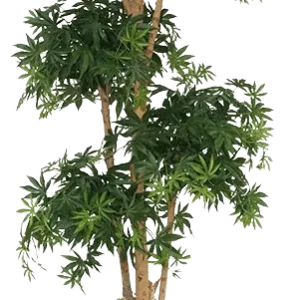 Acer Bonsai deluxe kunstboom 170cm – groen