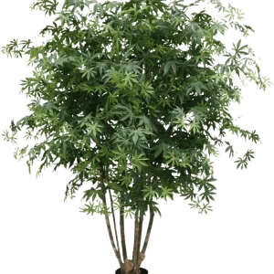 Acer Maple deluxe kunstboom 165cm – groen