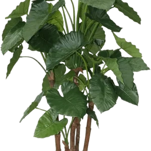Alocasia Calidora deluxe kunstplant 165cm