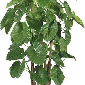 Alocasia Calidora Giant deluxe kunstboom  210cm