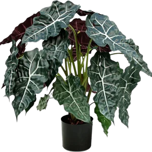 Alocasia kunstplant 75cm