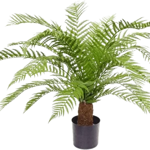 Alsophillia Varen kunstplant XXL 80cm – UV bestendig