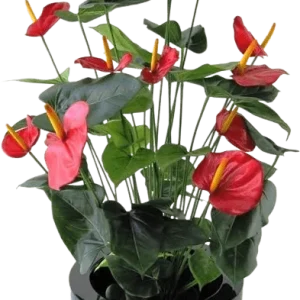 Anthurium deluxe kunstplant 80cm – rood