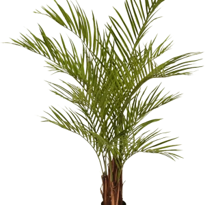 Areca kunstpalm deluxe 150cm