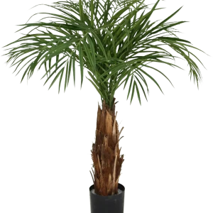 Areca kunstpalm op stam 120cm