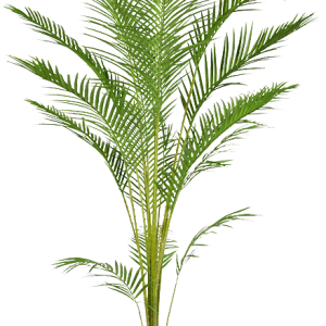 Areca kunstpalm Pl 165cm