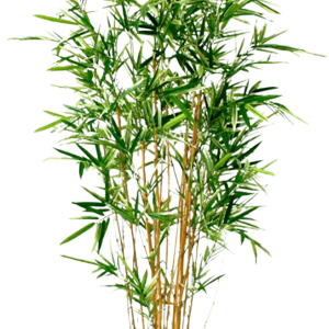 Bamboe kunstplant 170cm – bont