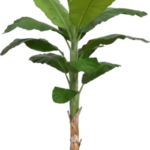 Banaan Royal kunstboom 210cm