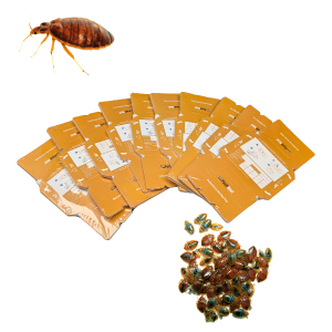 100x PestiNext Bedwantsen vallen