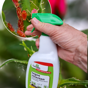 Bladluisspray Luxan Delete – Gebruiksklaar