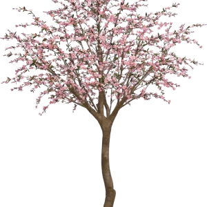 Bloesem Giant delux kunstboom 275cm