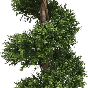 Buxus deluxe spiraal kunstplant 140cm – UV bestendig