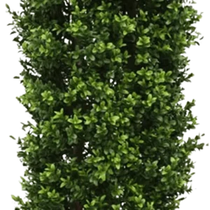 Buxus kolom deluxe kunstplant 125cm