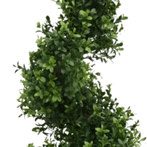 Buxus spiraal deluxe kunstboom 100cm – UV bestendig