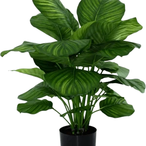 Calathea Fasciata kunstplant 80cm
