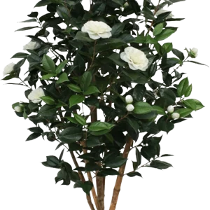Camelia Japonica deluxe kunstboom 150cm – creme