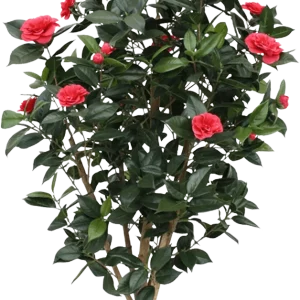 Camelia Japonica deluxe kunstplant 150cm – rose