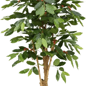 Coffee Arabica kunstplant deluxe 150cm N
