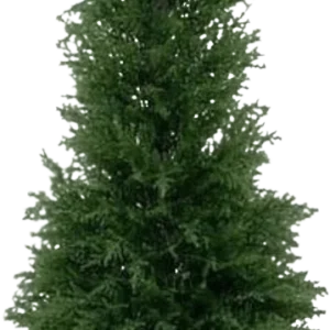 Conifeer deluxe kunstplant 120cm – UV bestendig