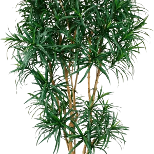 Draceana Reflexa XL kunstboom 190cm – groen